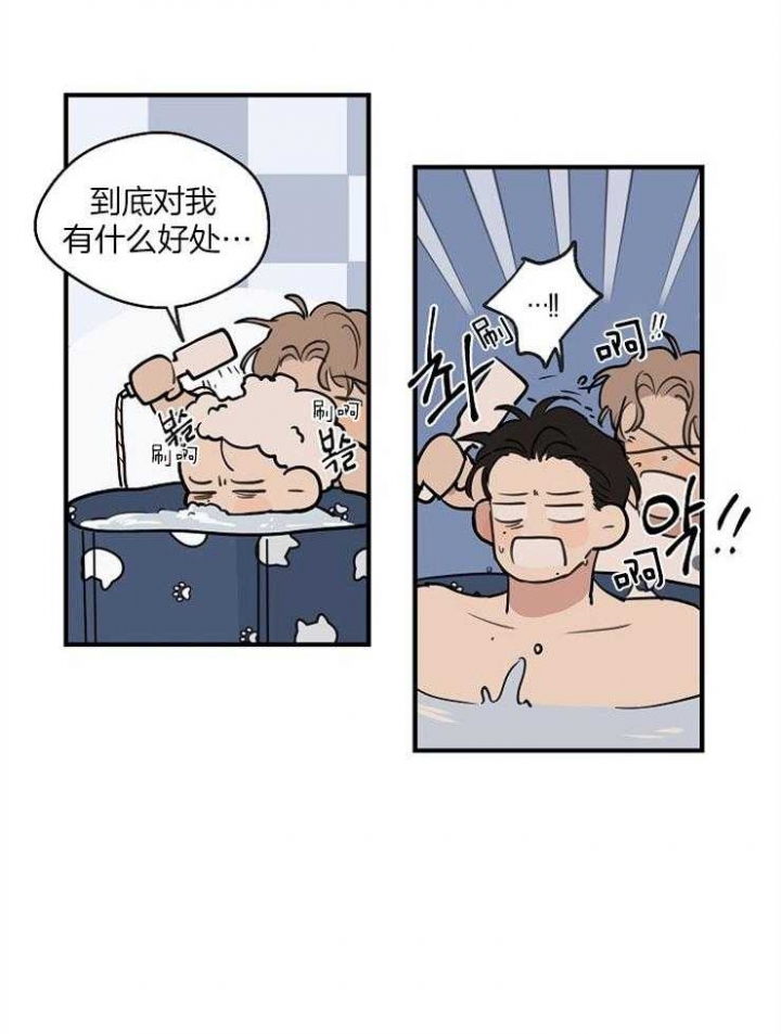22.jpg
