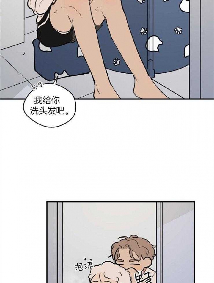 15.jpg