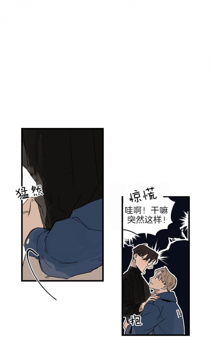 15.jpg