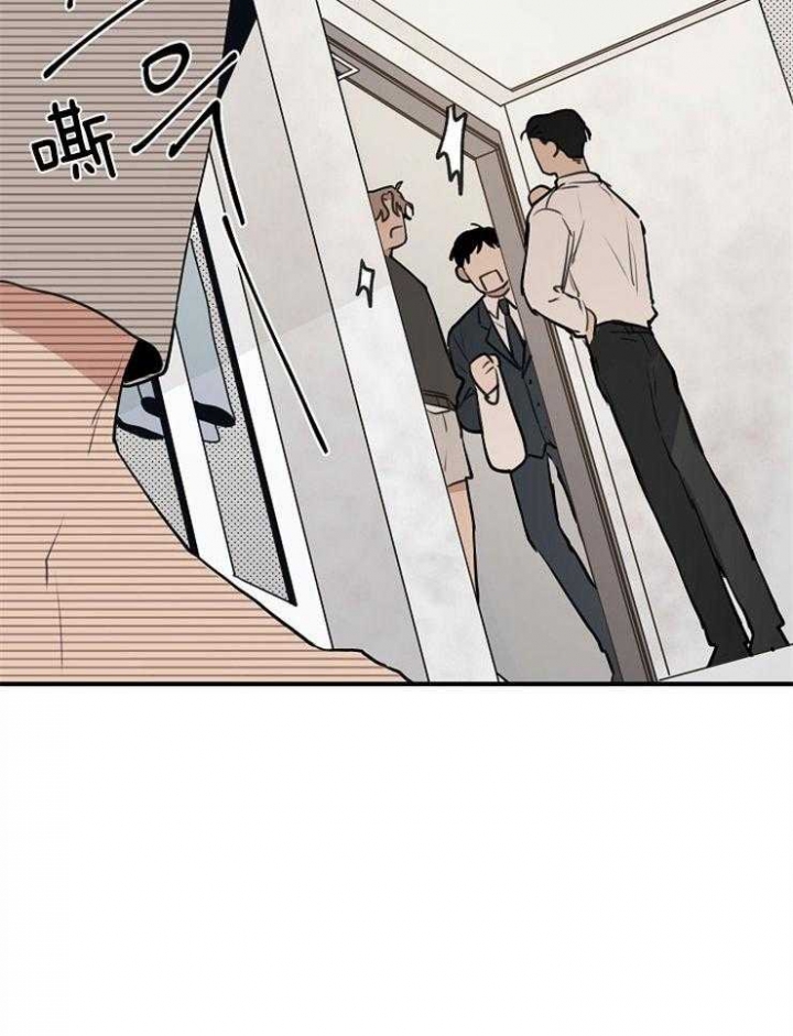 28.jpg