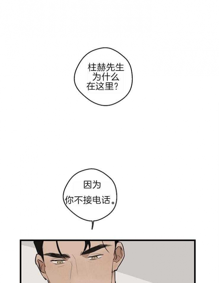 20.jpg