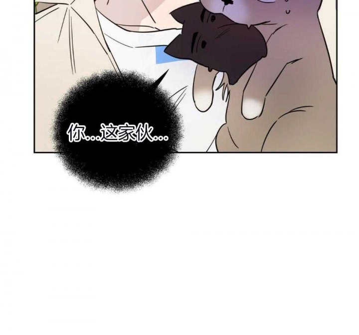 43