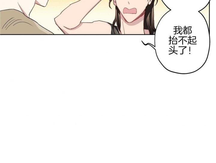 33