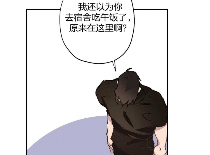 25.jpg