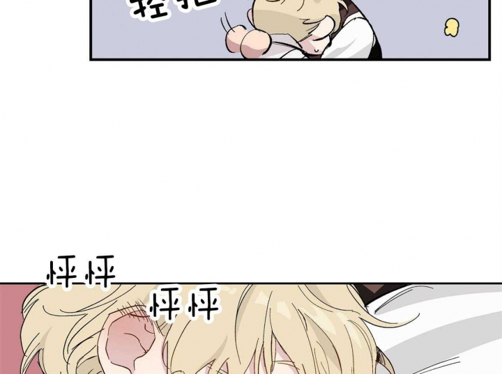 43.jpg