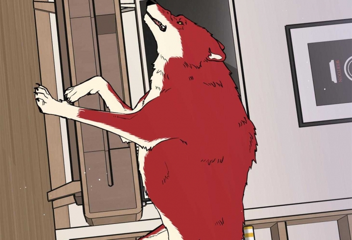 44