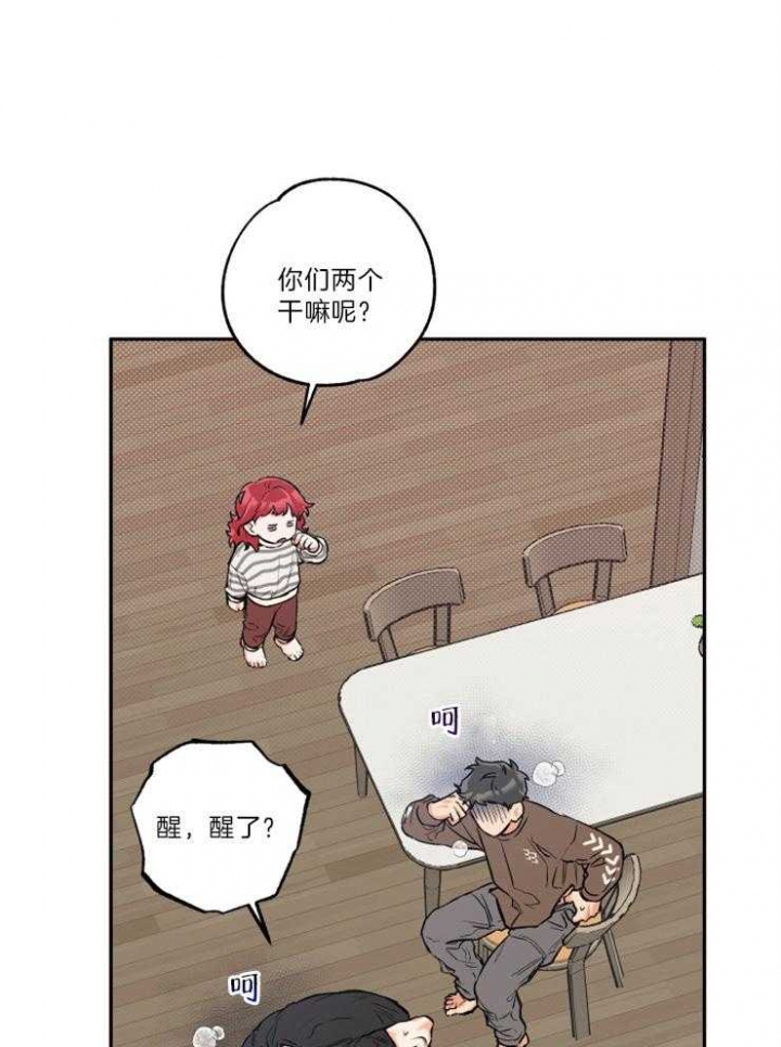 21