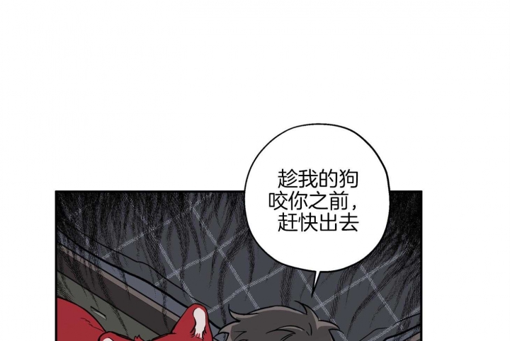 44