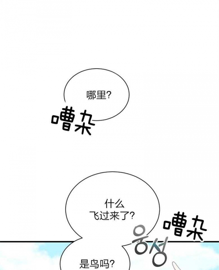27.jpg