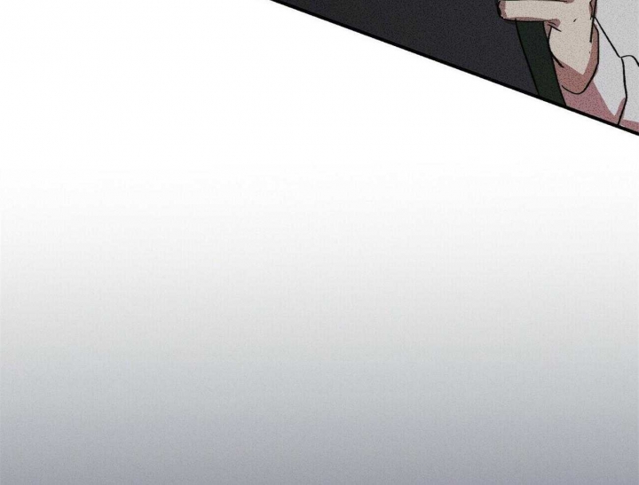 81