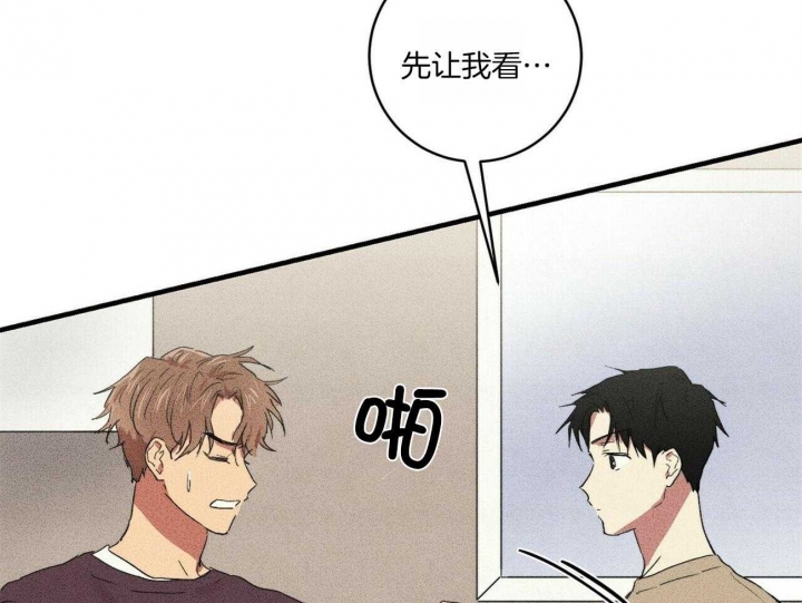 44