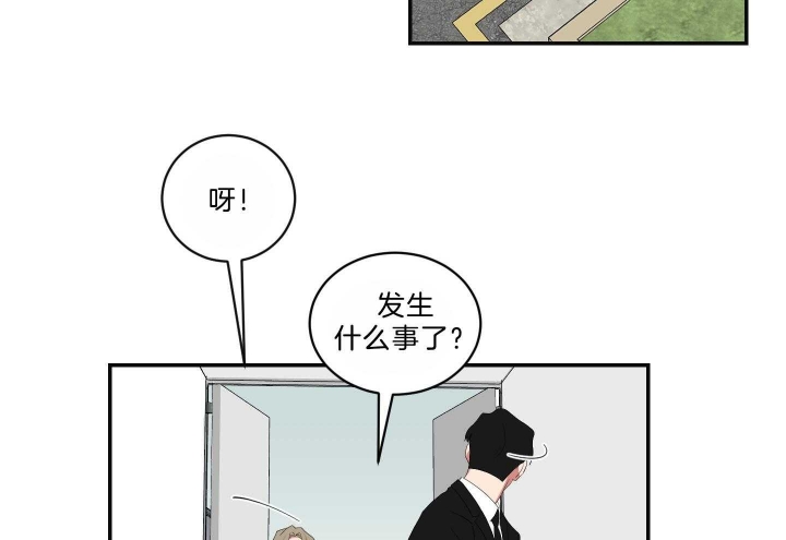 40.jpg