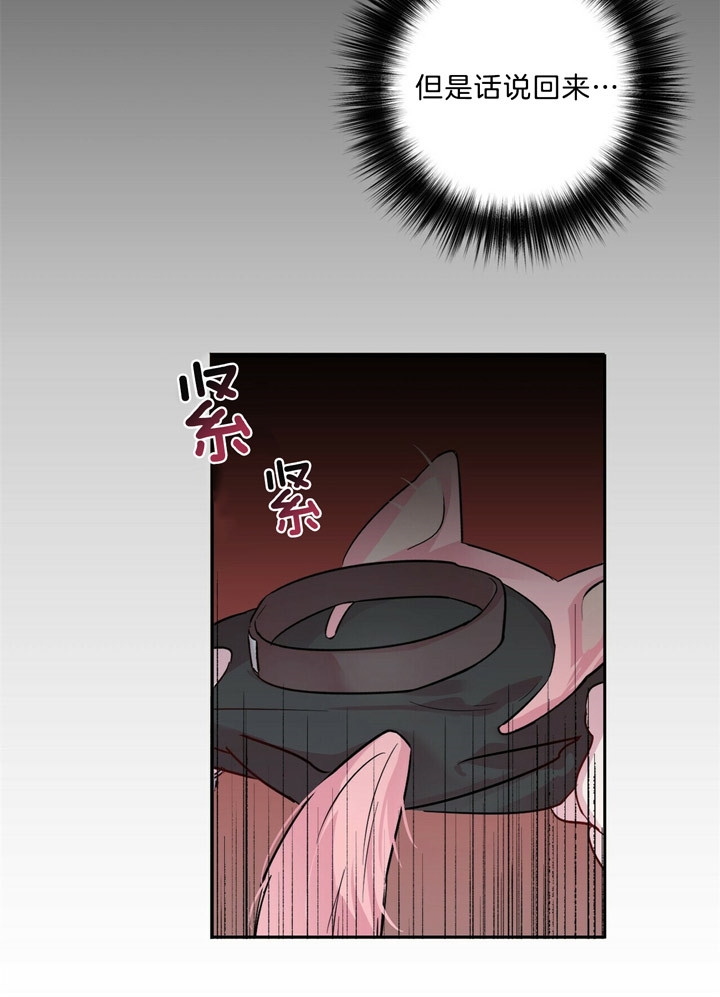 22.jpg
