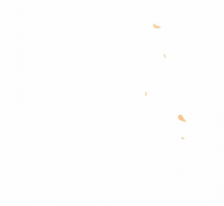60.jpg