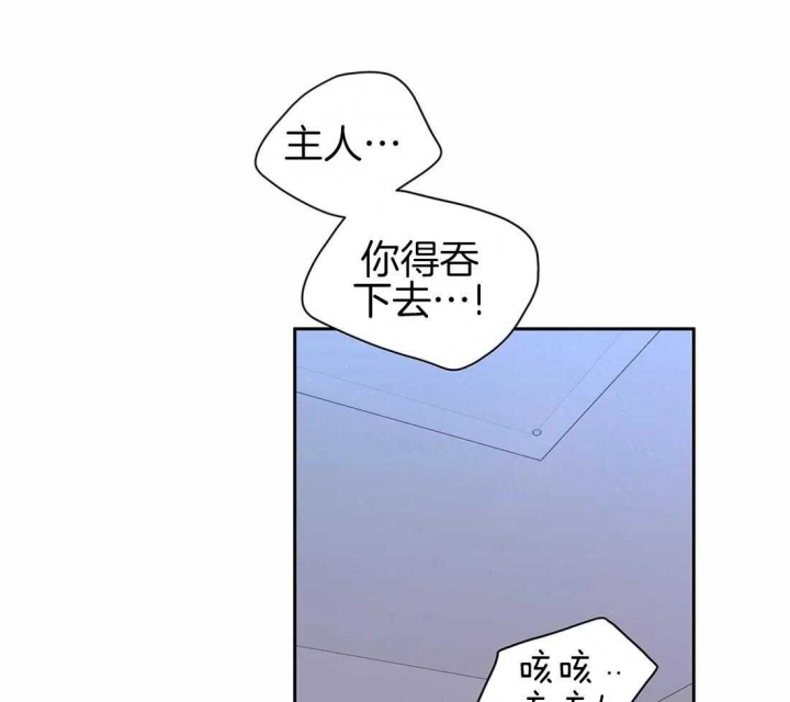 70.jpg