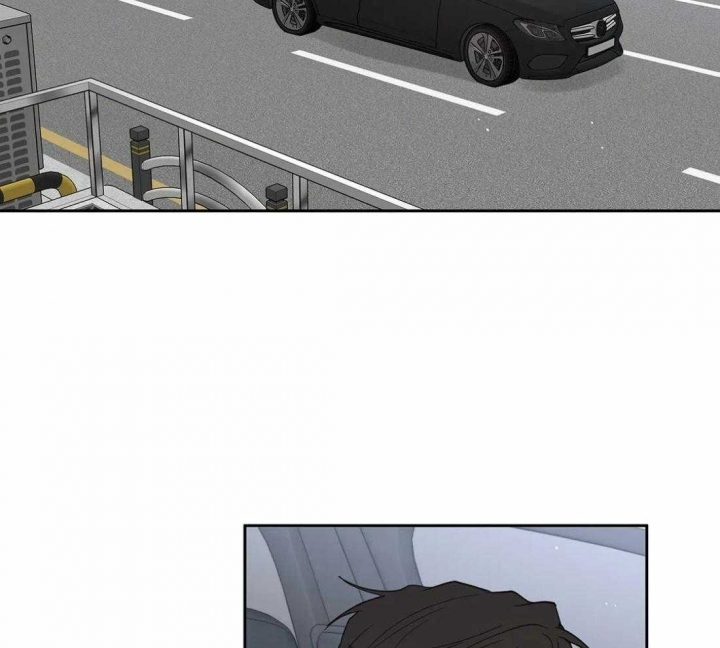 81