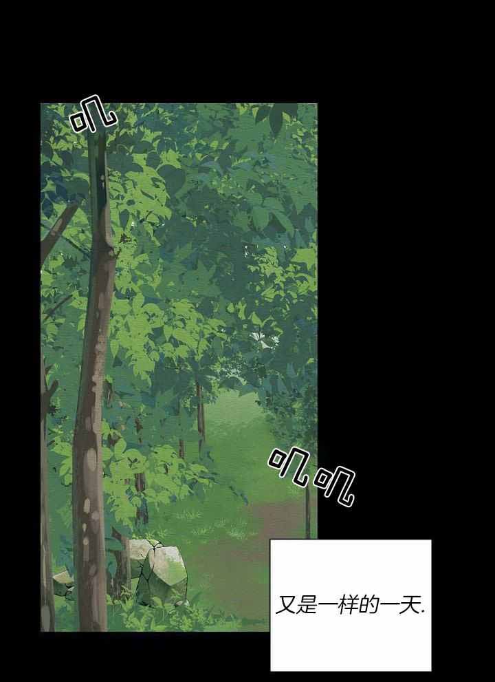 36.jpg