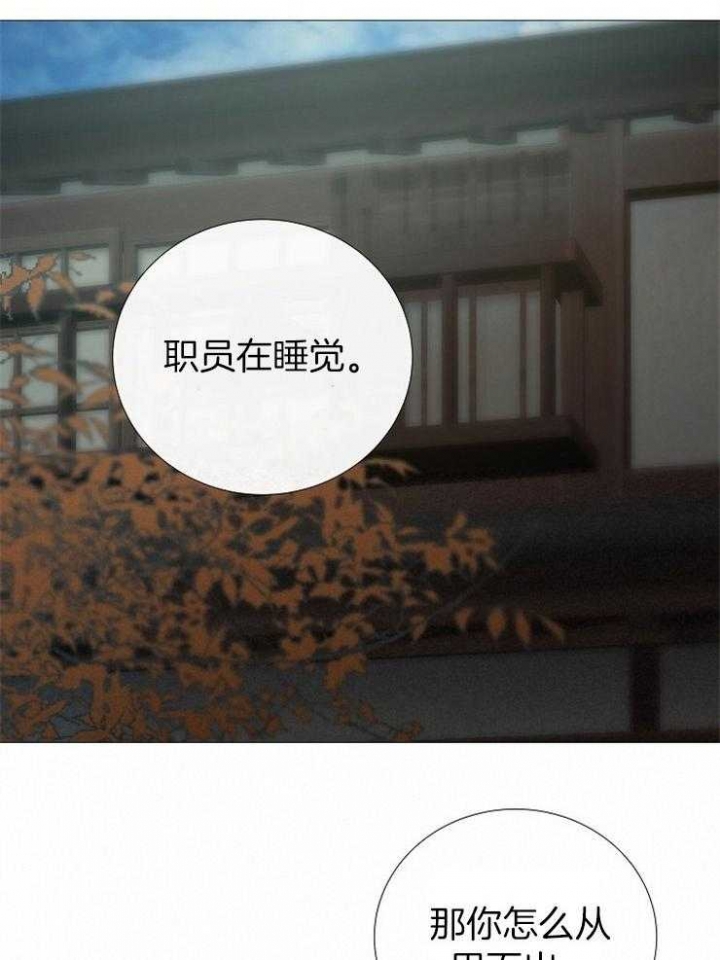 32.jpg