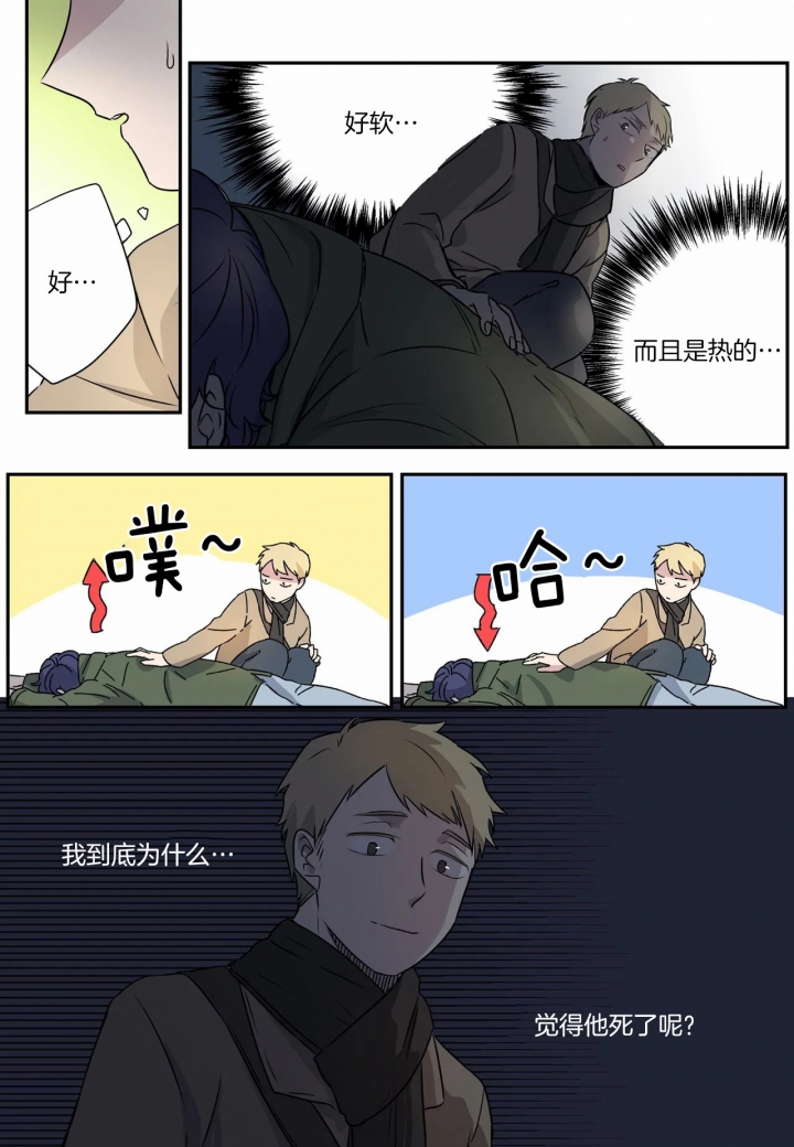 5.jpg