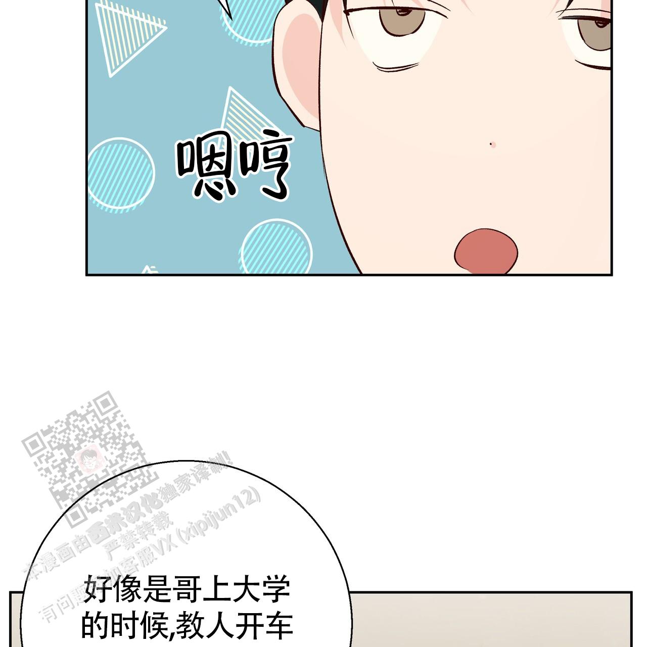 41.jpg