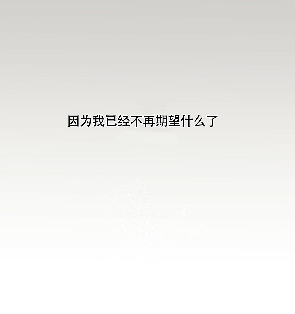 102.jpg