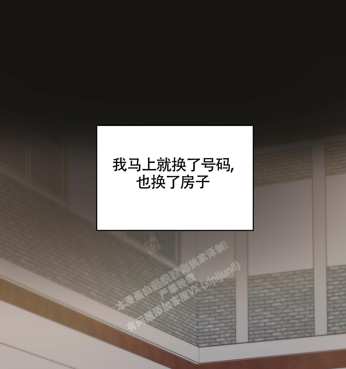 96.jpg