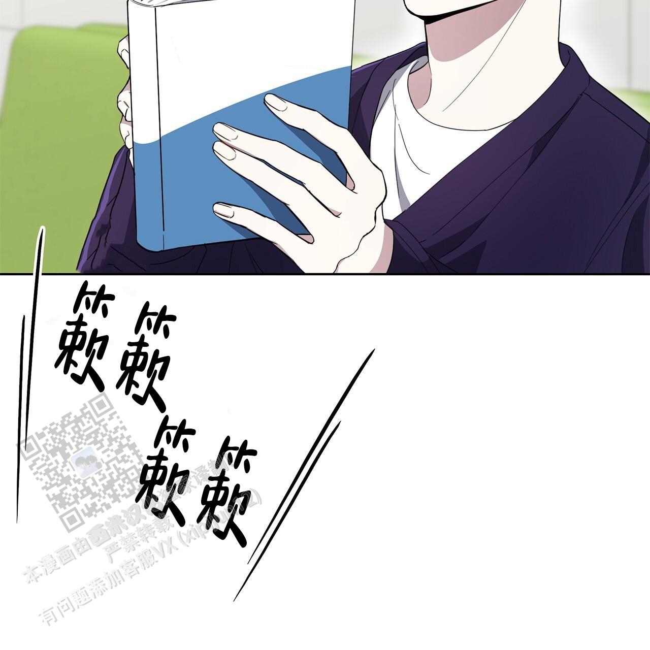 43.jpg