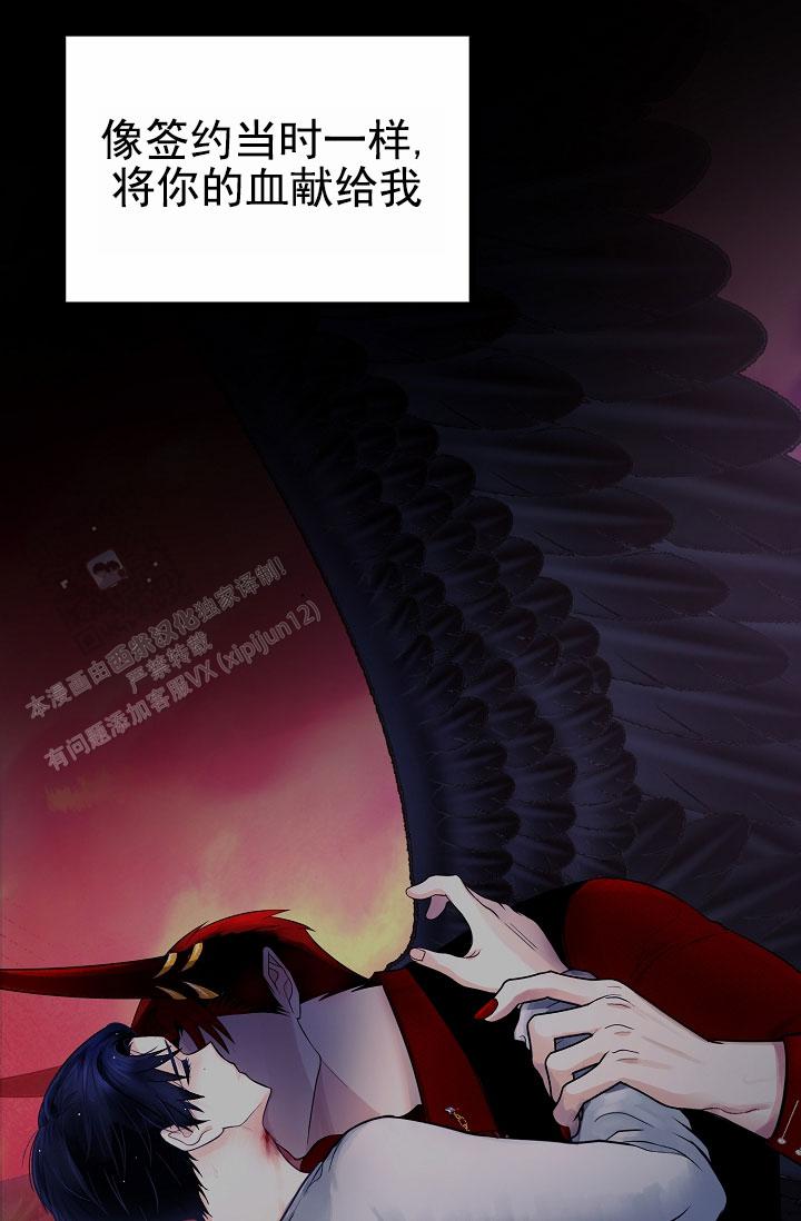41.jpg