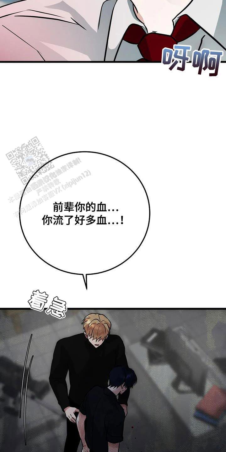 33.jpg