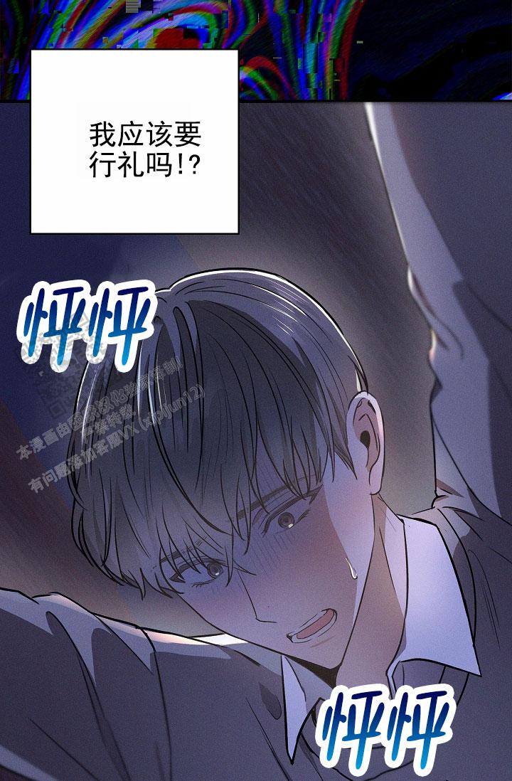 41