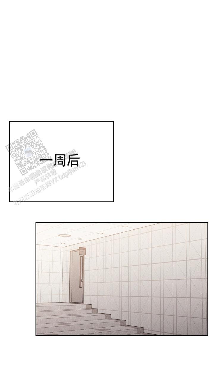 安慰剂