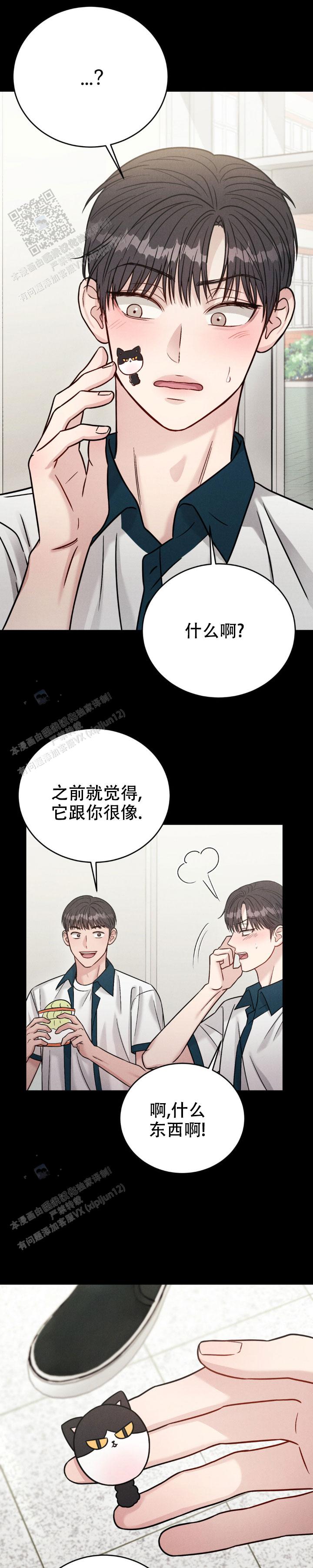 安慰剂