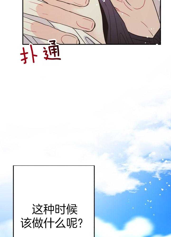 33.jpg