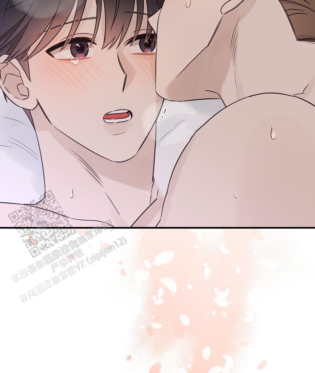 欧米伽情结