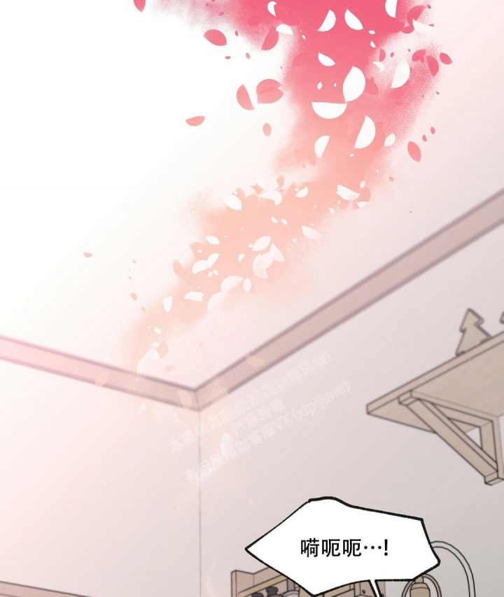 欧米伽情结