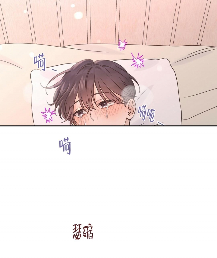 欧米伽情结