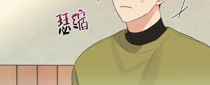 欧米伽情结