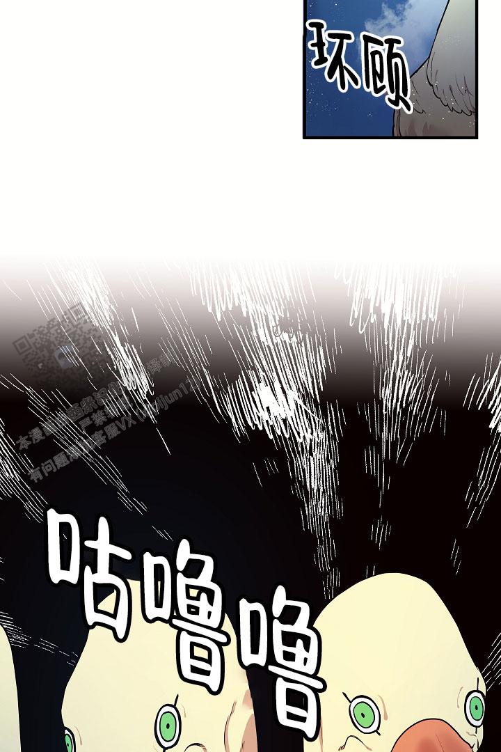 40.jpg
