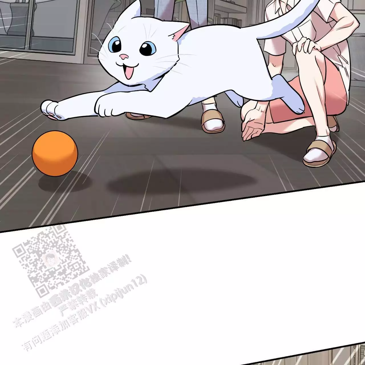 43