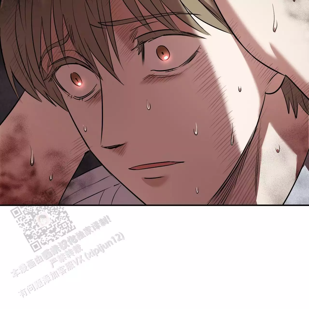 /template/pc/baozi/image/load.gif