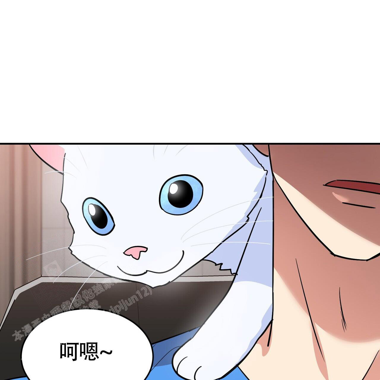 53