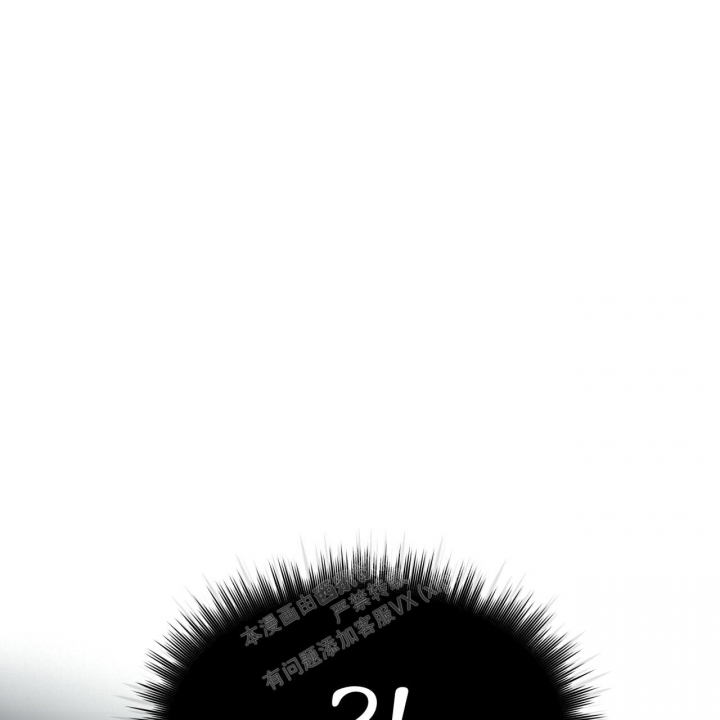 81