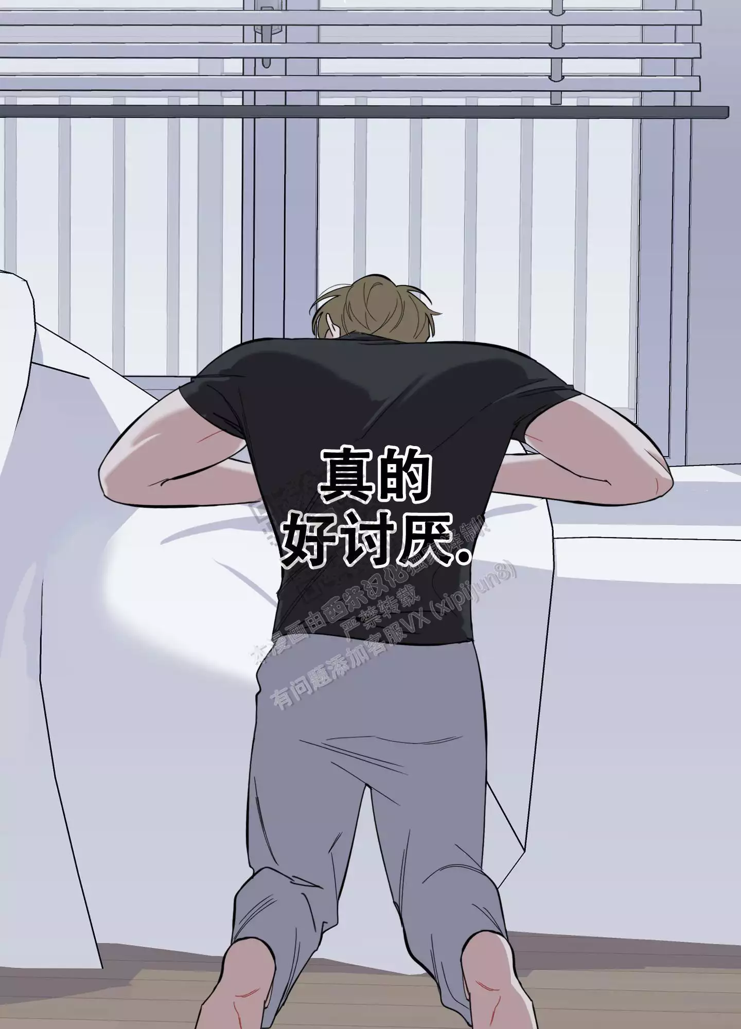 21.jpg