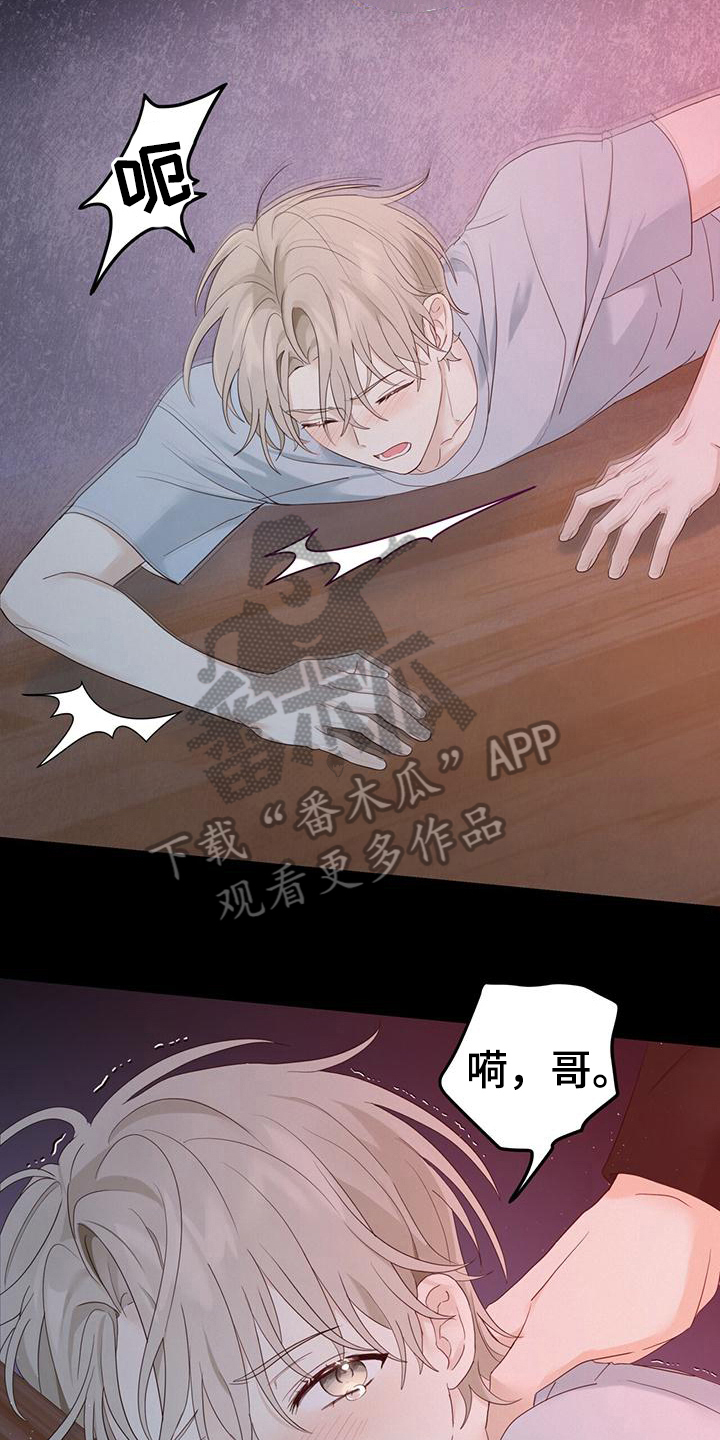 12.jpg