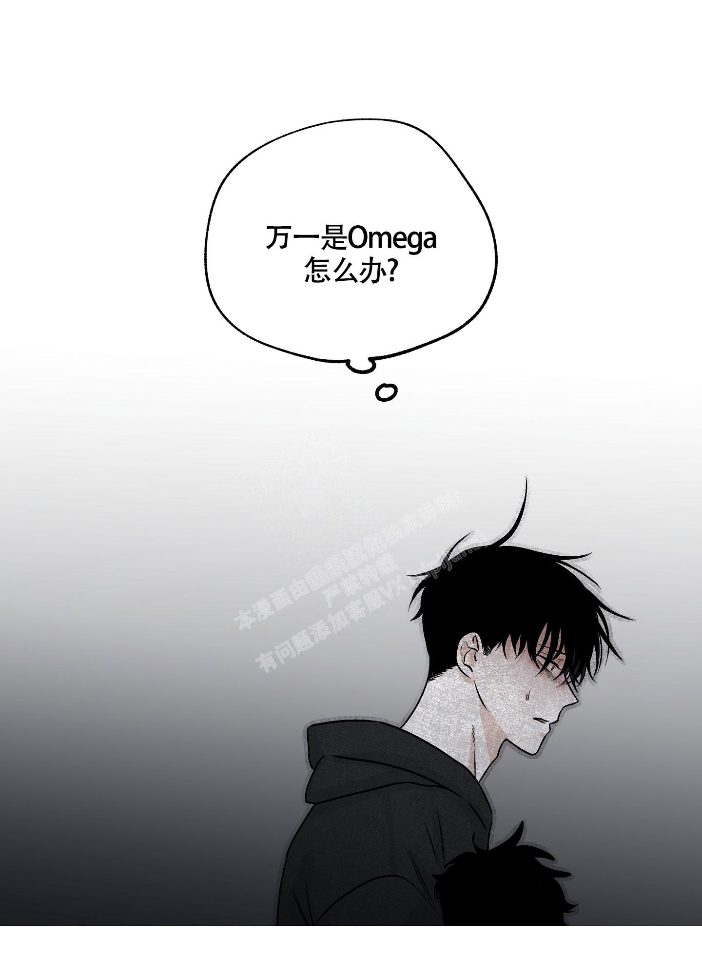 43
