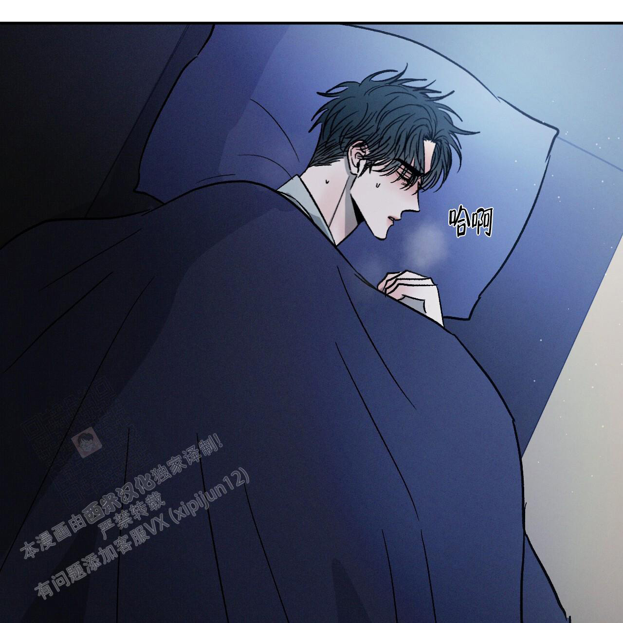 41