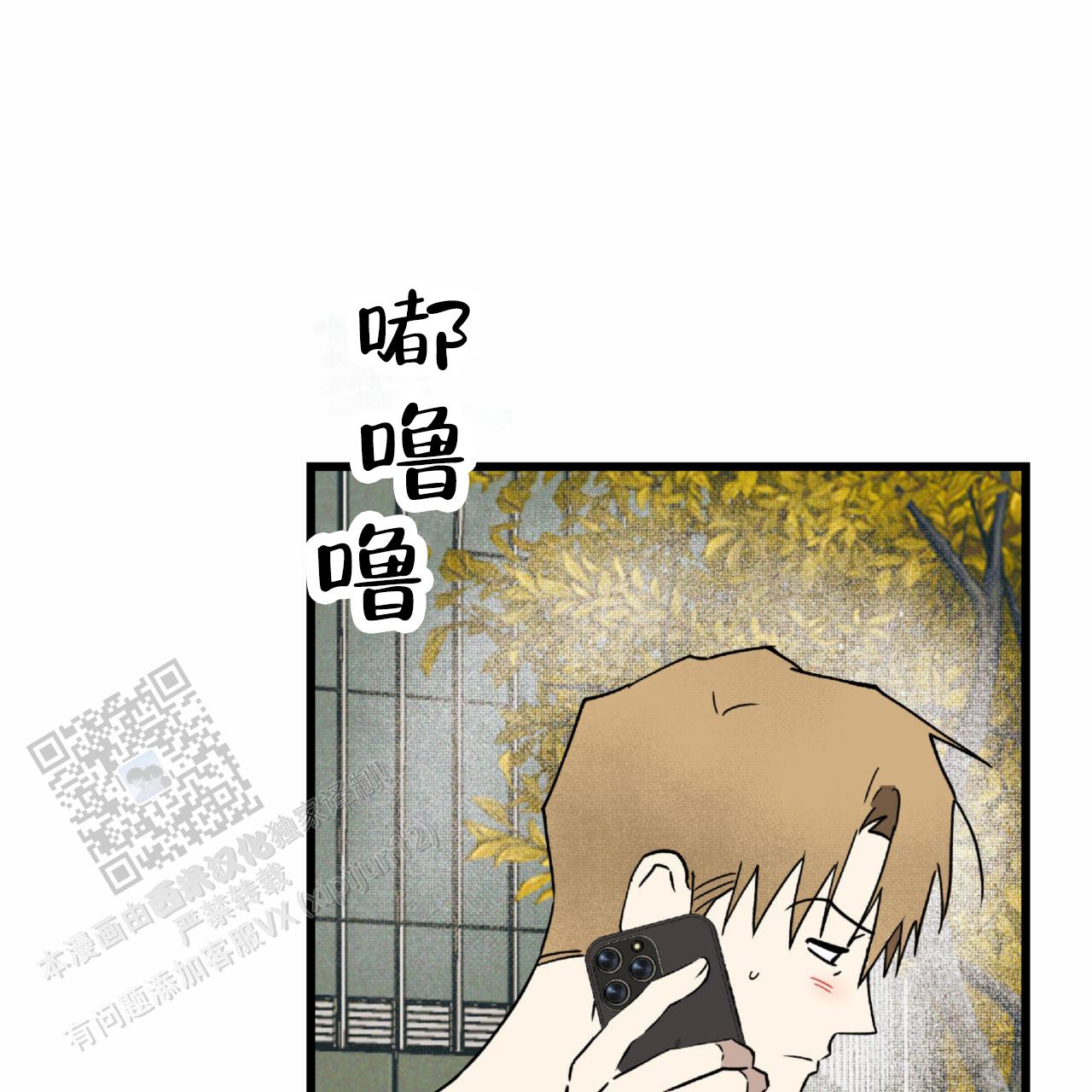 51.jpg