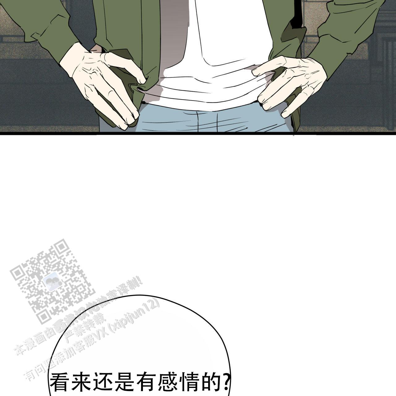28.jpg