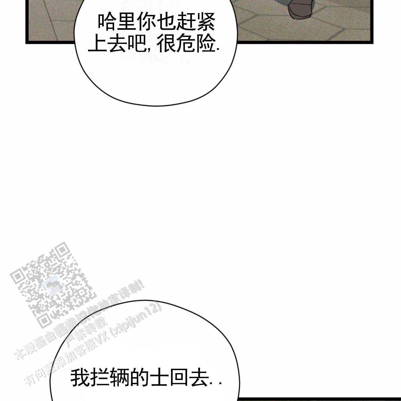 43.jpg