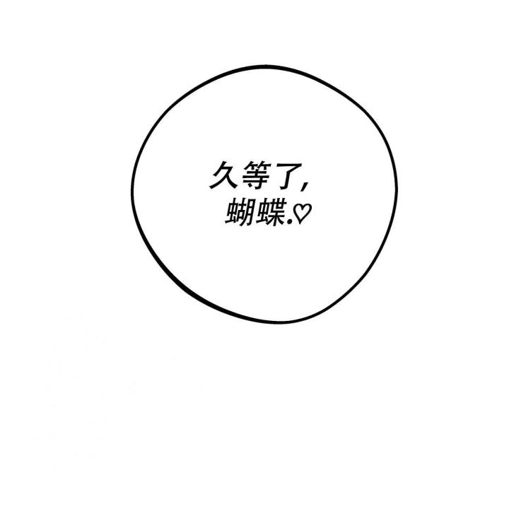 113.jpg